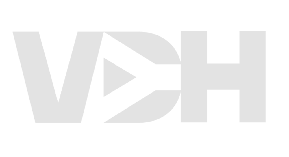 Vdyh